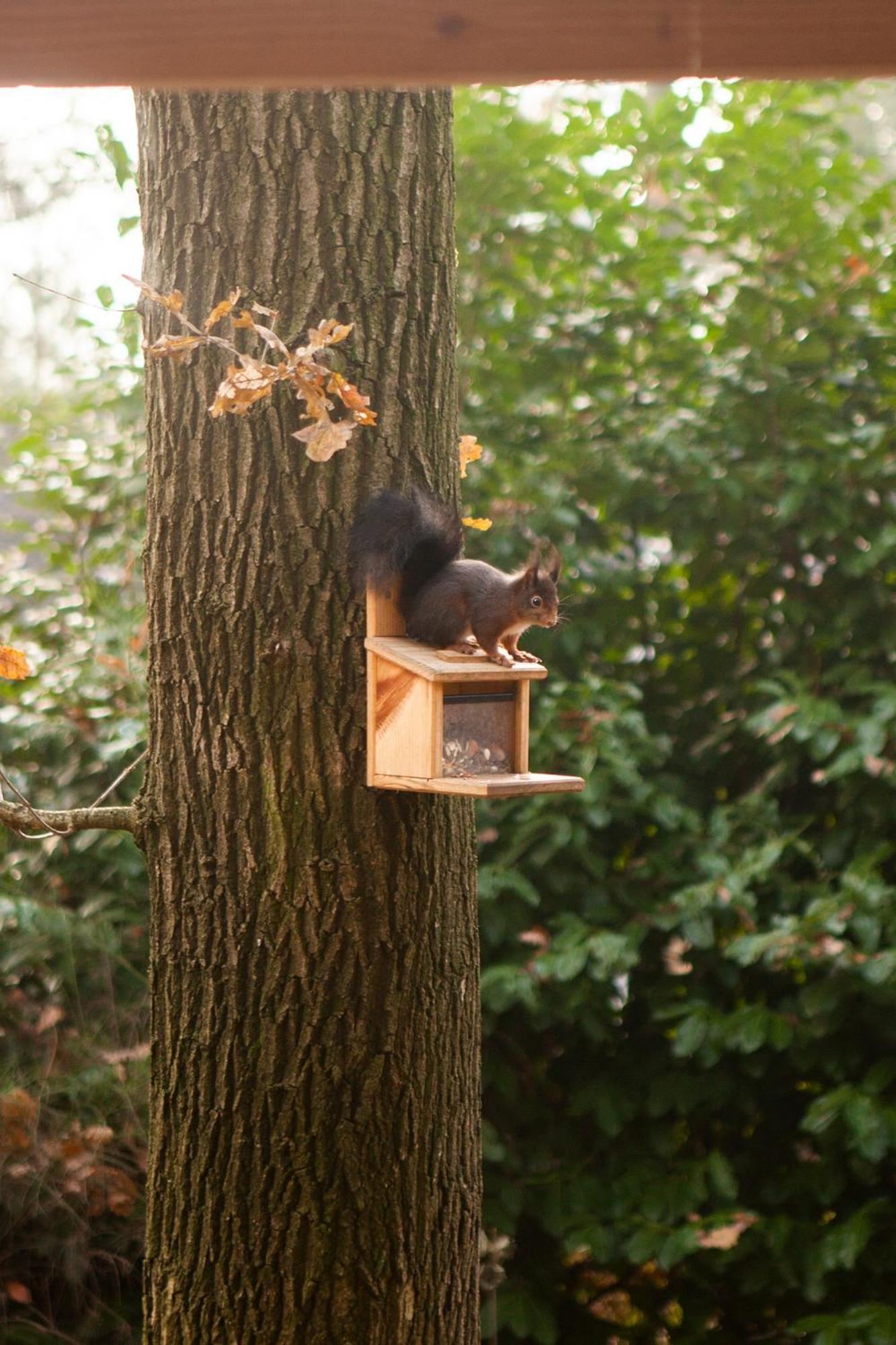 Knus Boshuisje Onder De Eiken Ermelo Exteriör bild